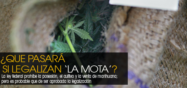 &iquest;Que pasar&aacute; si legalizan 'la mota'?