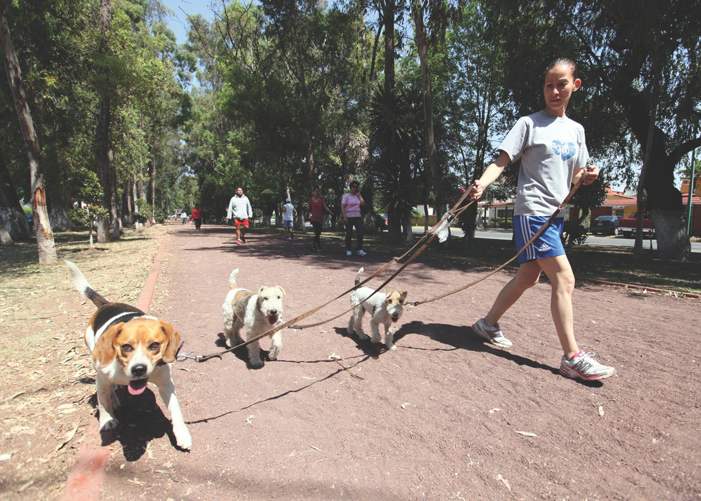 Beneficios de caminar