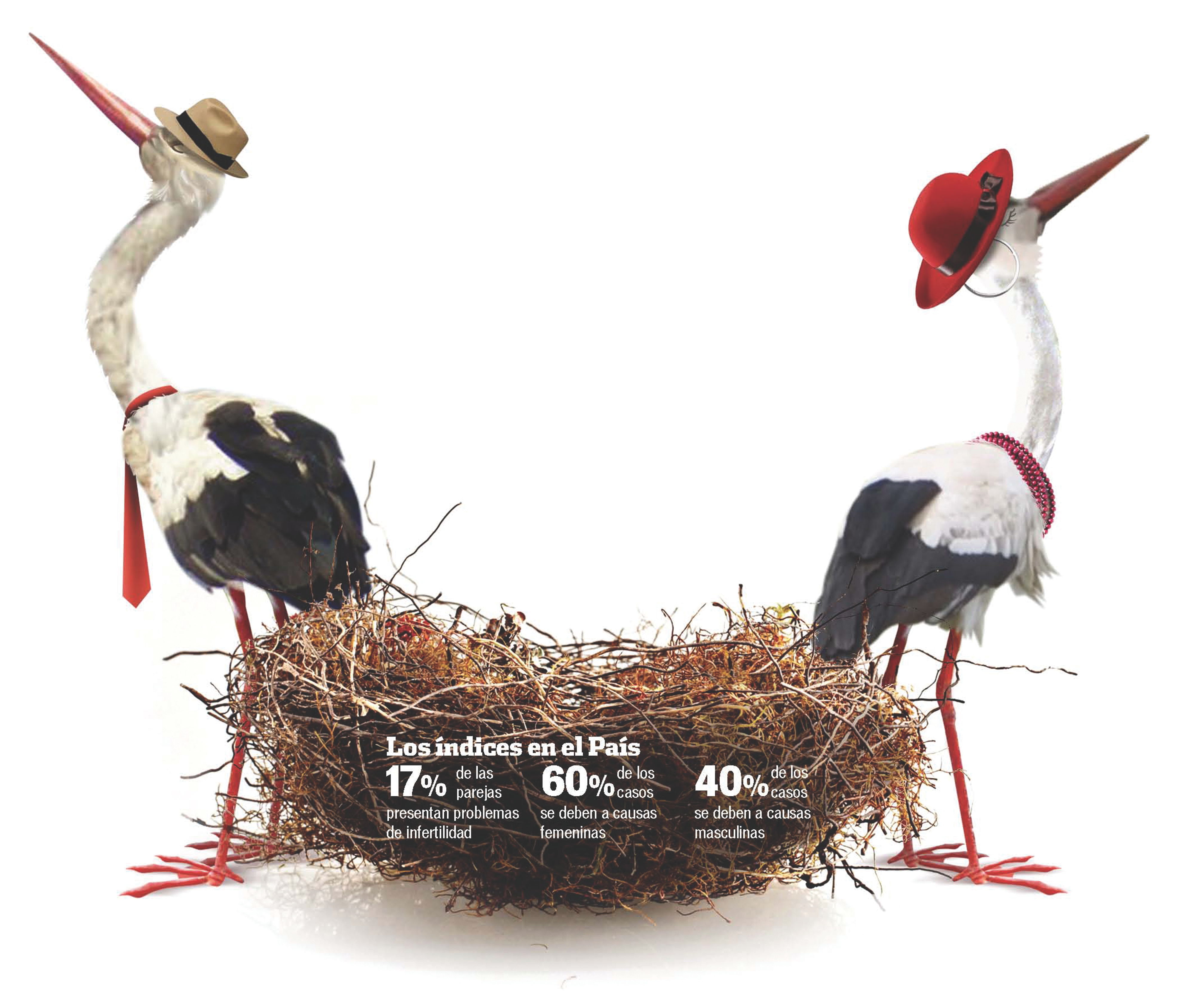 Infertilidad  divide a la pareja