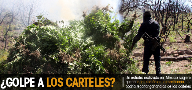 Golpe a los carteles