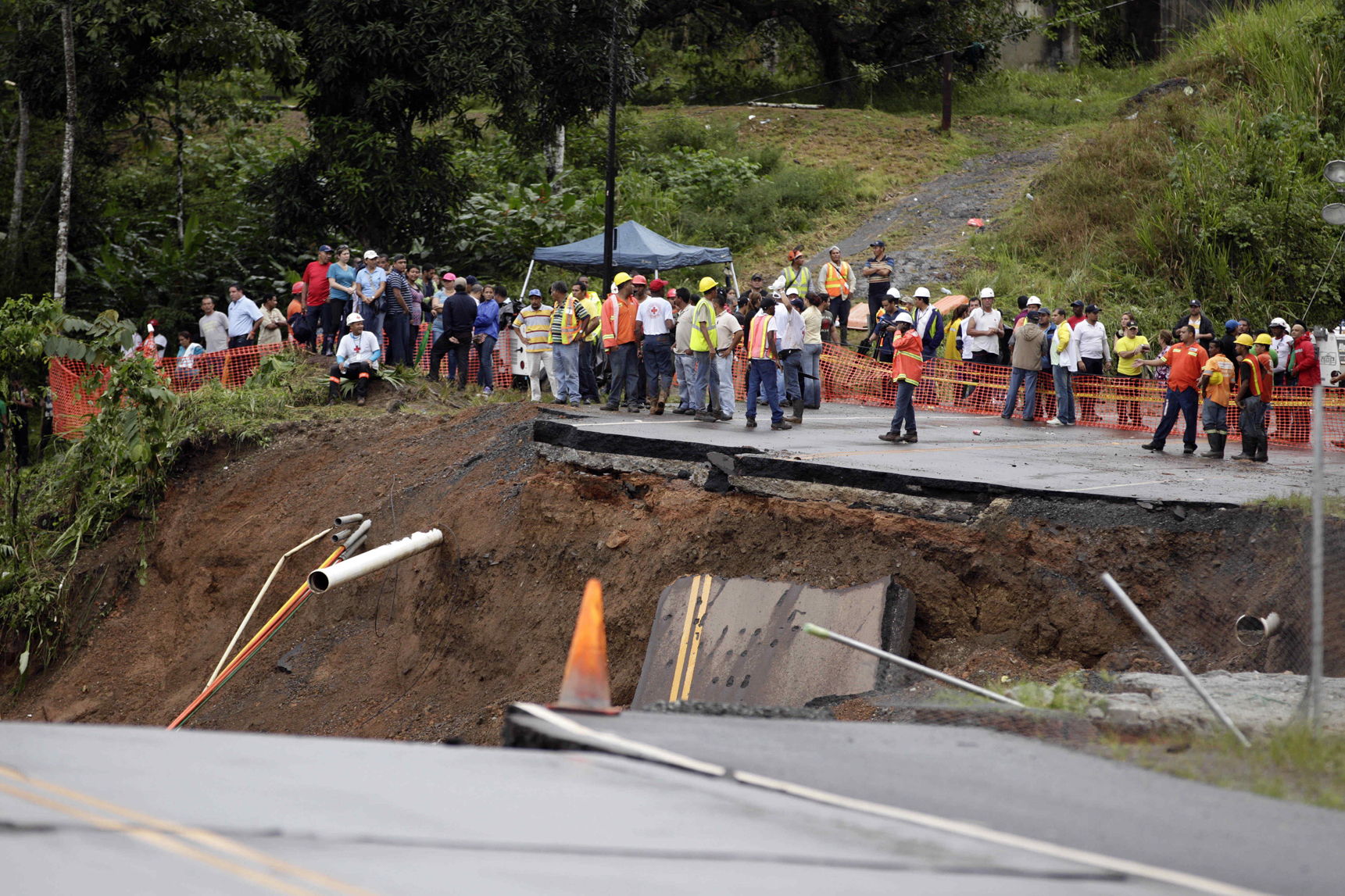 Continua la b&uacute;squeda