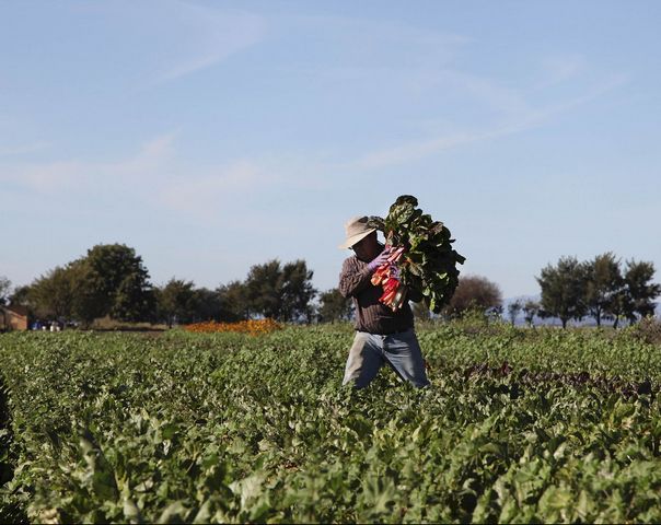 &iquest;Y la mano de obra?