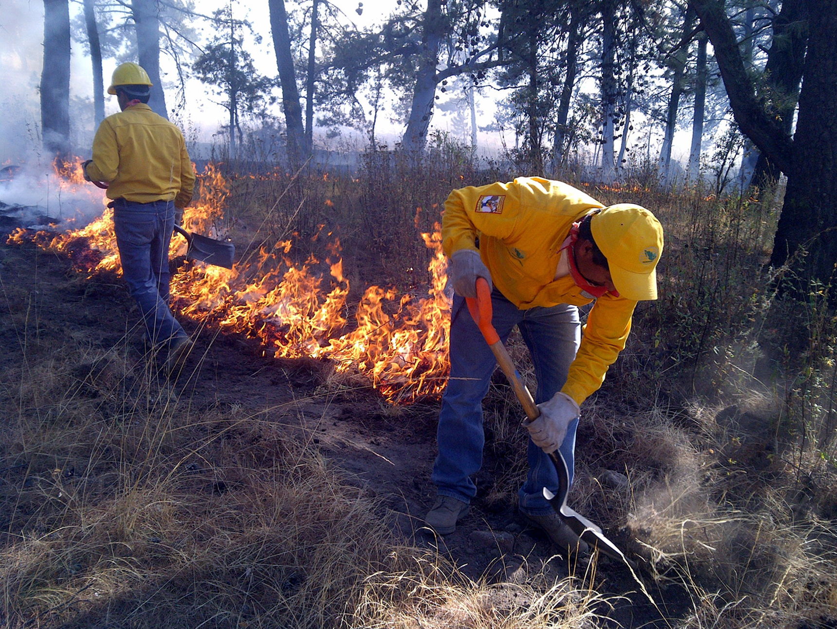 Provoca toma ilegal incendio en Jalisco No&eacute; Magall&oacute;n
