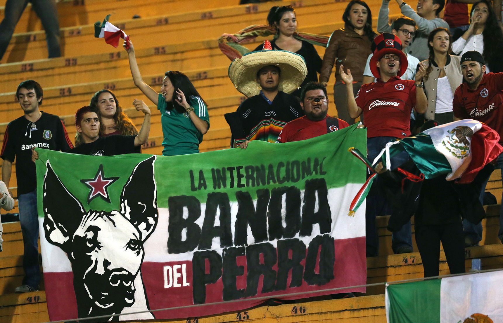 &iexcl;Perros calientes!