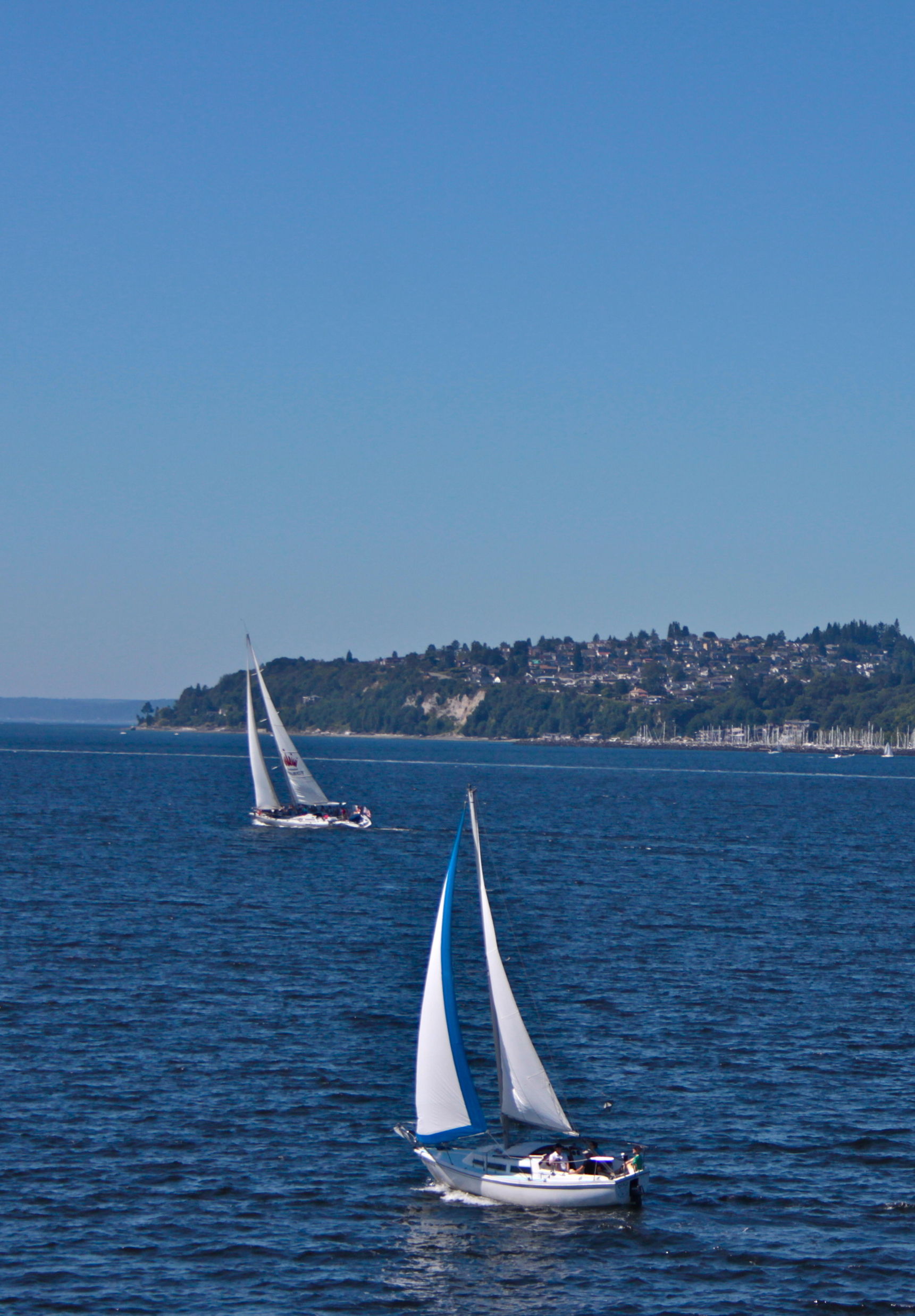 Perdidos en la Isla Lugares y cosas que hacer lejos de la costa