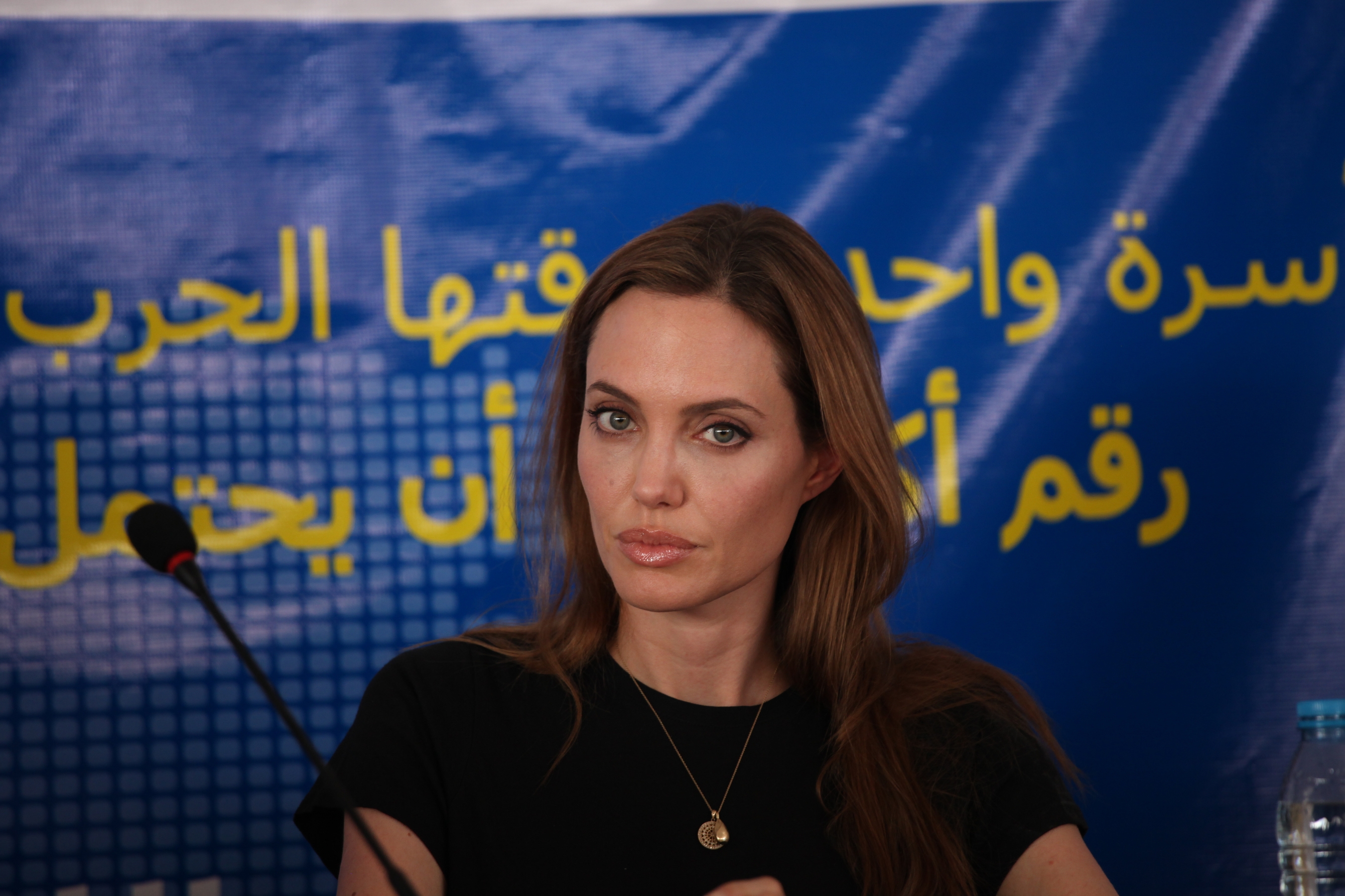 Jolie exhorta a acabar con violaciones en guerra