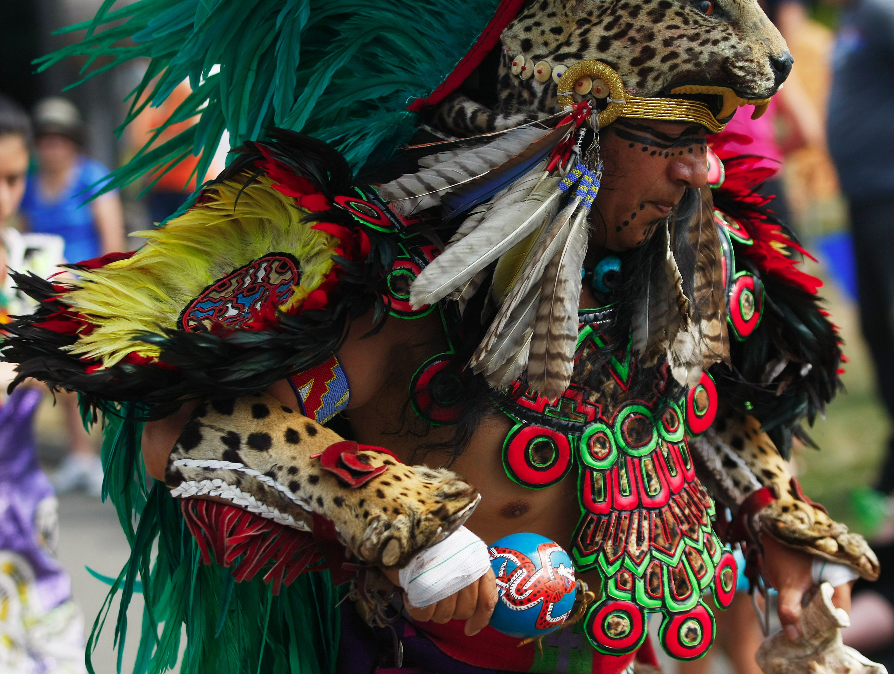 Hay algo para todos en la feria Evergreen