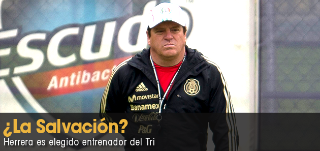 &iexcl;A poner lo que nos falt&oacute;!