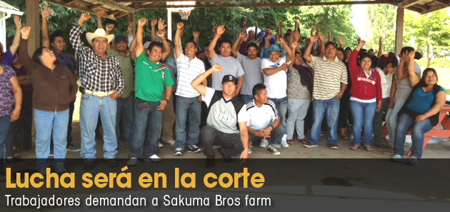 Trabajadores interponen demanda