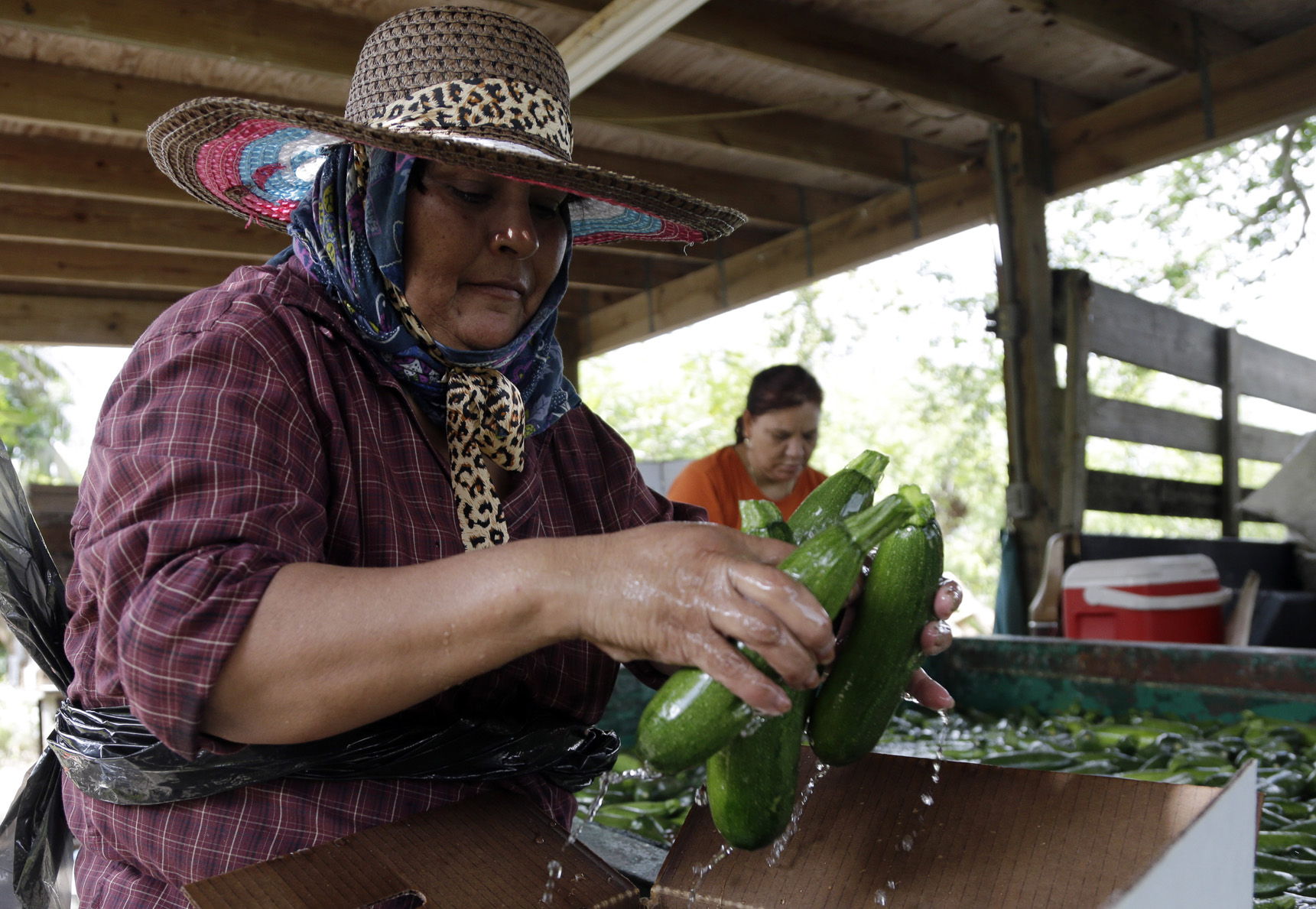Activistas promueven la integraci&oacute;n de inmigrantes