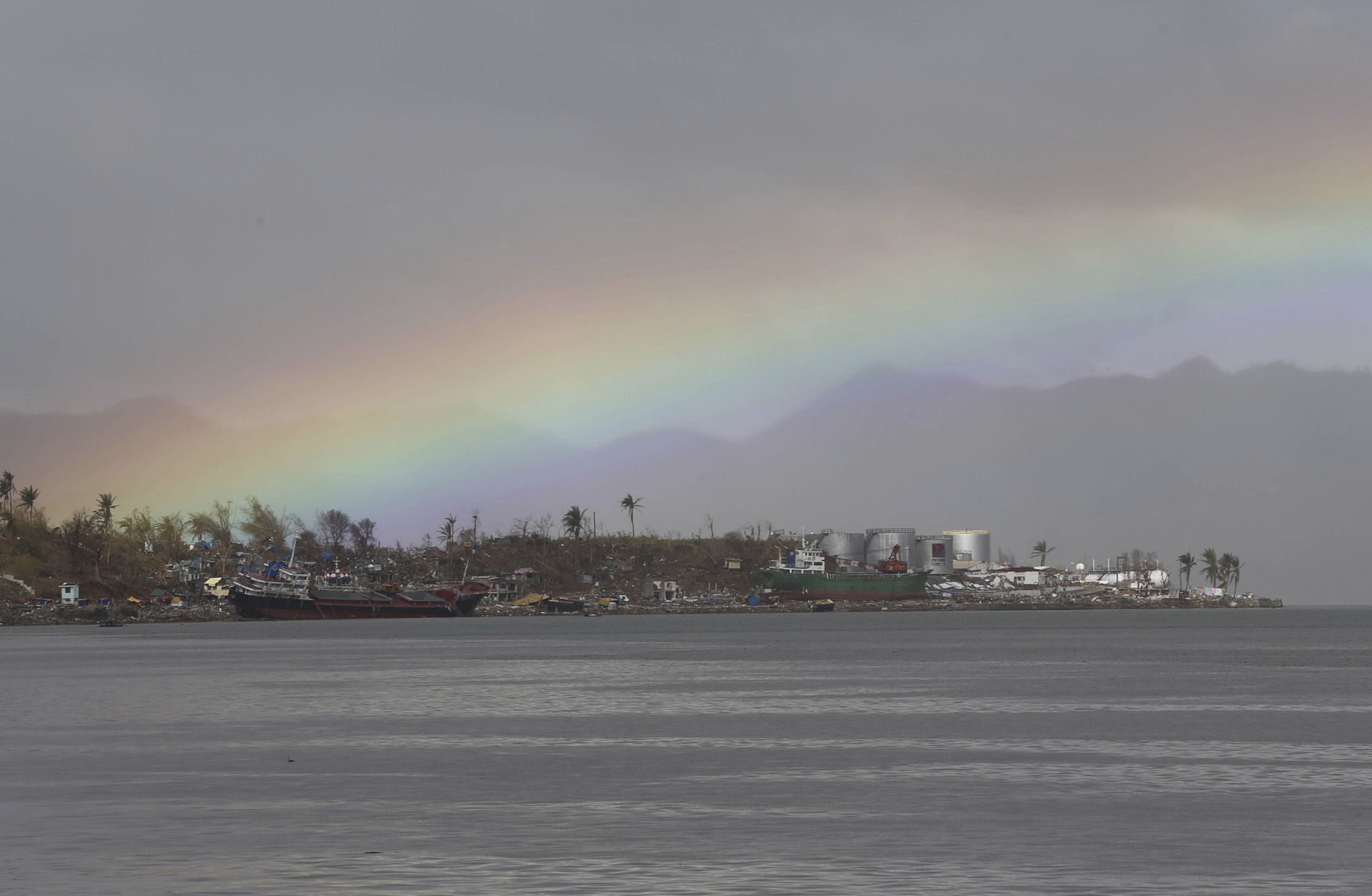 La vida renace entre las cenizas