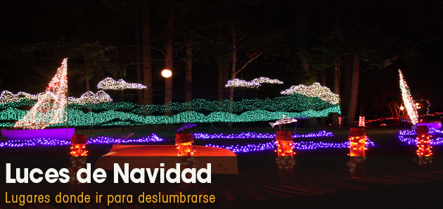 Los colores de Navidad