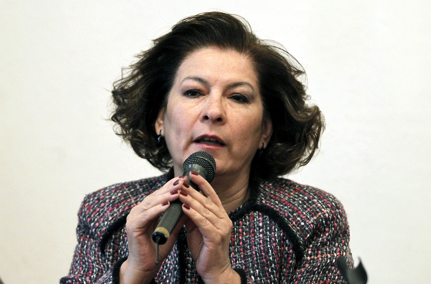 Acusan aumento de plagios con Pe&ntilde;a Aumenta denuncias