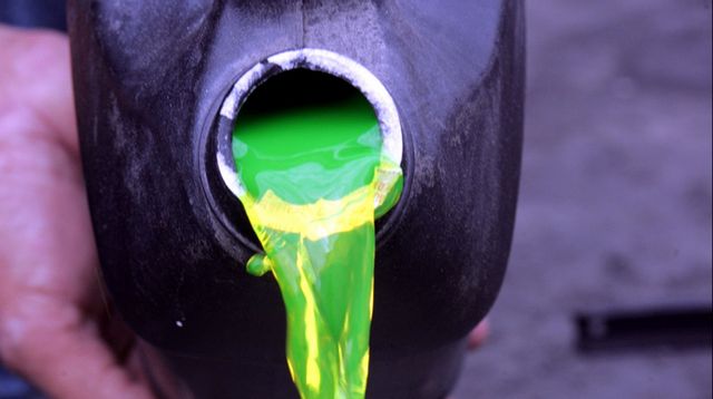 Contra el fr&iacute;o