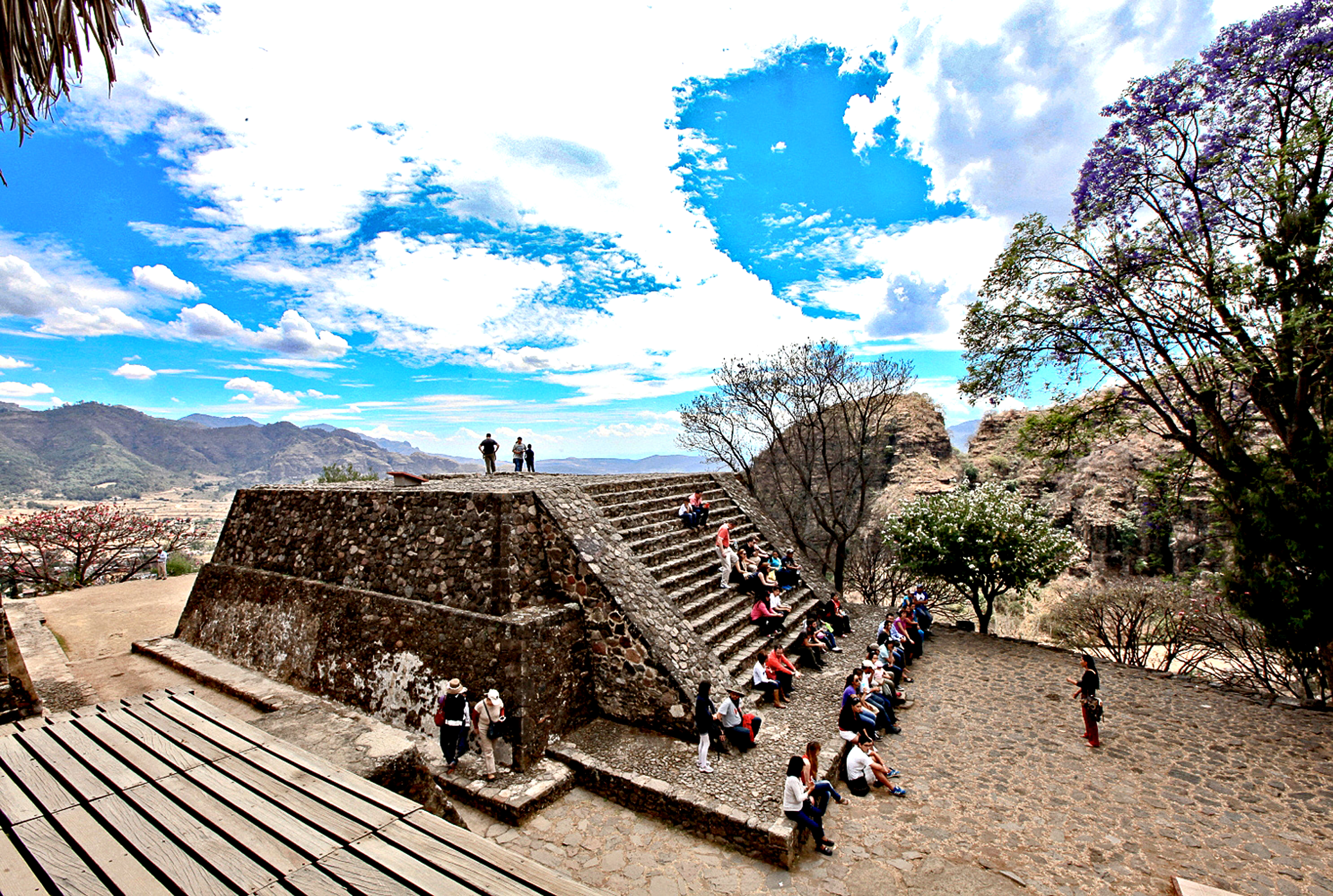 &iexcl;Bienvenida, primavera!