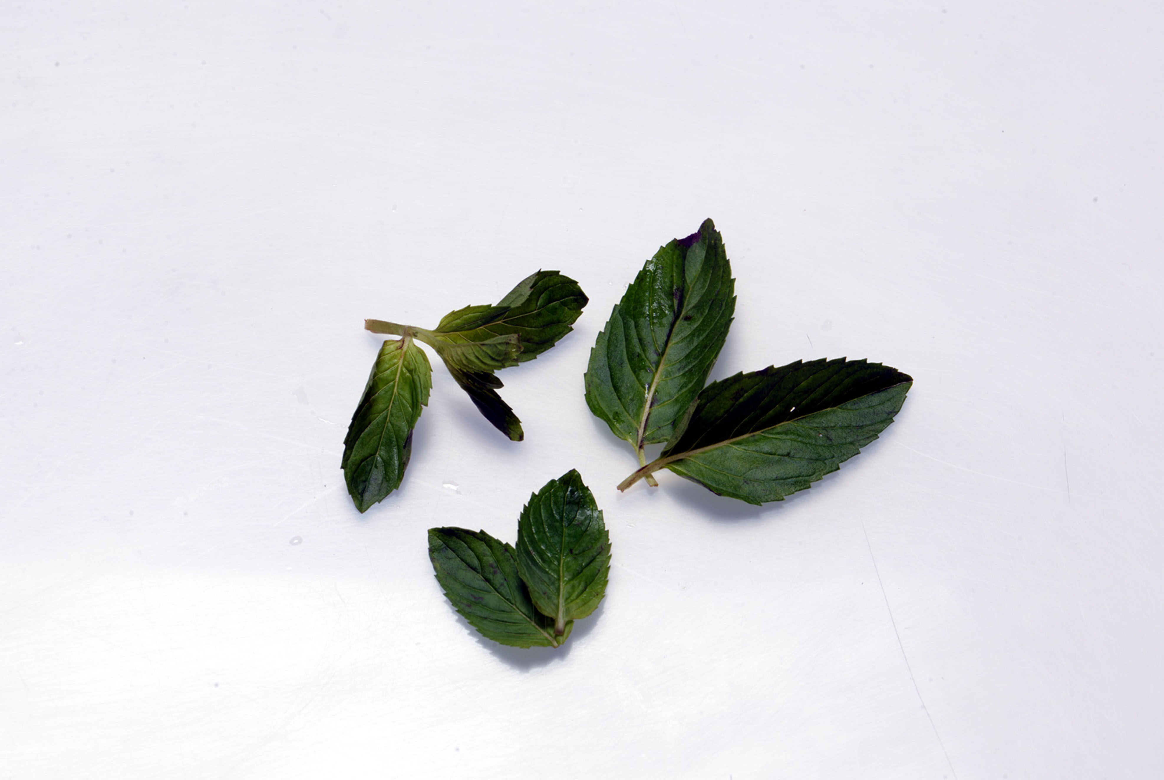 Menta: Saludable frescura