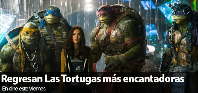 Vuelven las Tortugas m&aacute;s encantadoras