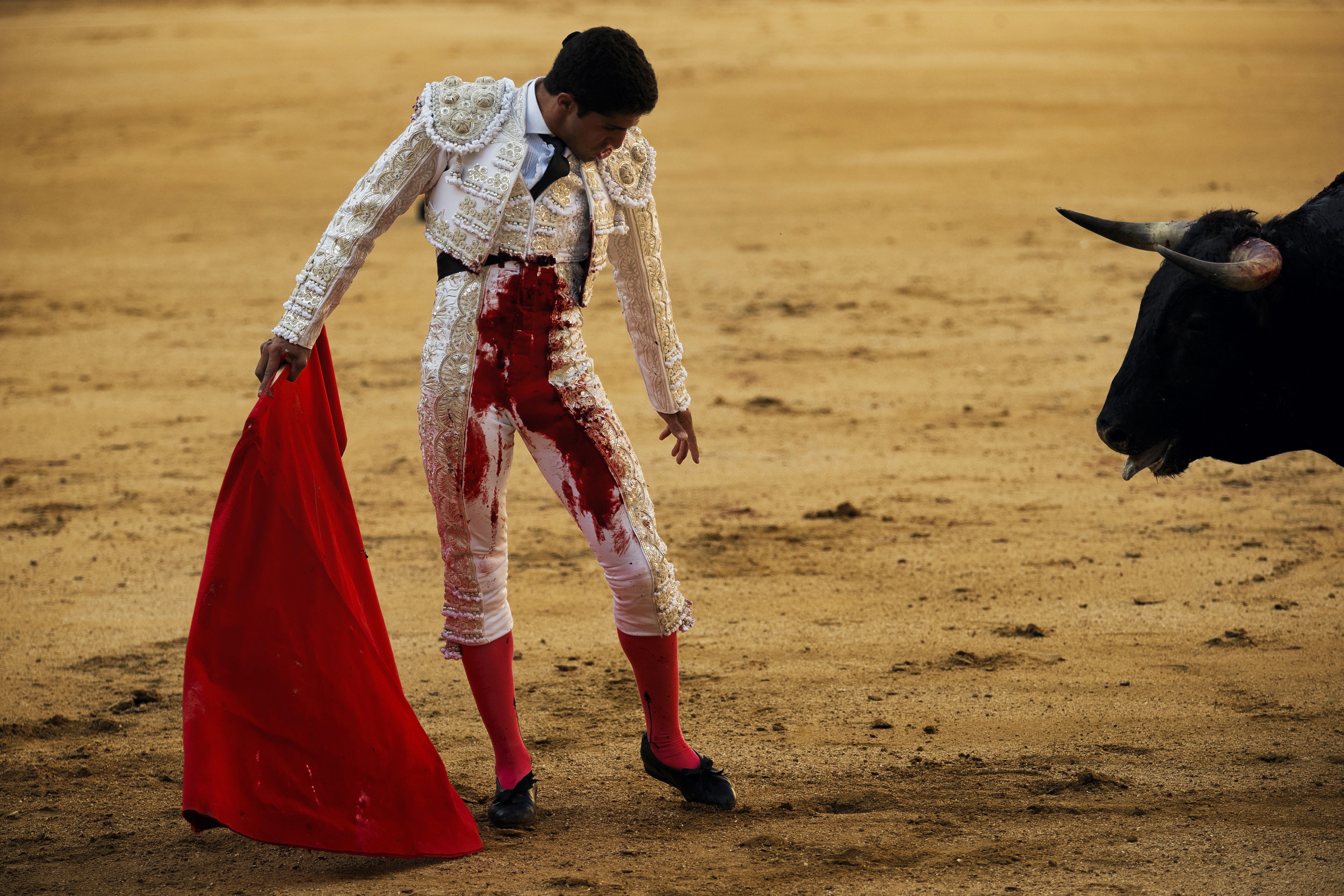 Corte definir&aacute; en breve si toros vuelven a Bogot&aacute;