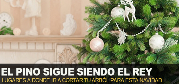 El pino  sigue siendo el rey