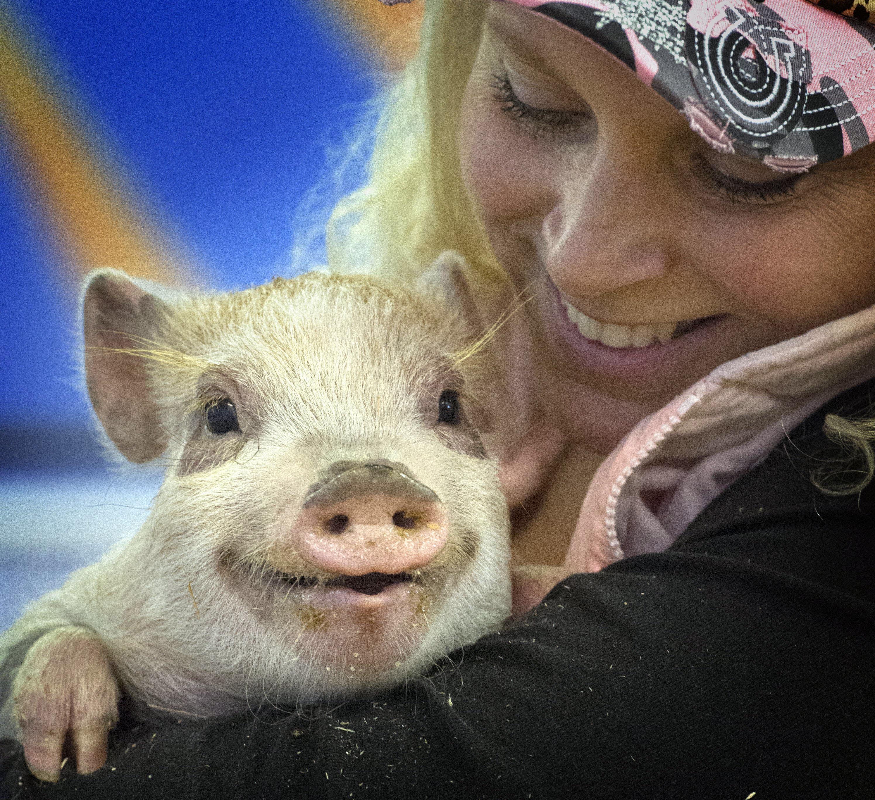 Zool&oacute;gico cubierto previsto para centro comercial en Tacoma