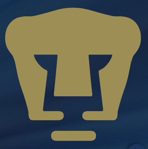 As&iacute; lo vieron