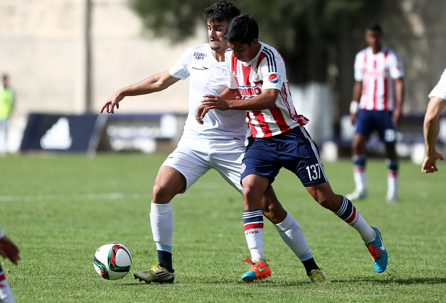 Avanzan Chivitas a Semifinales