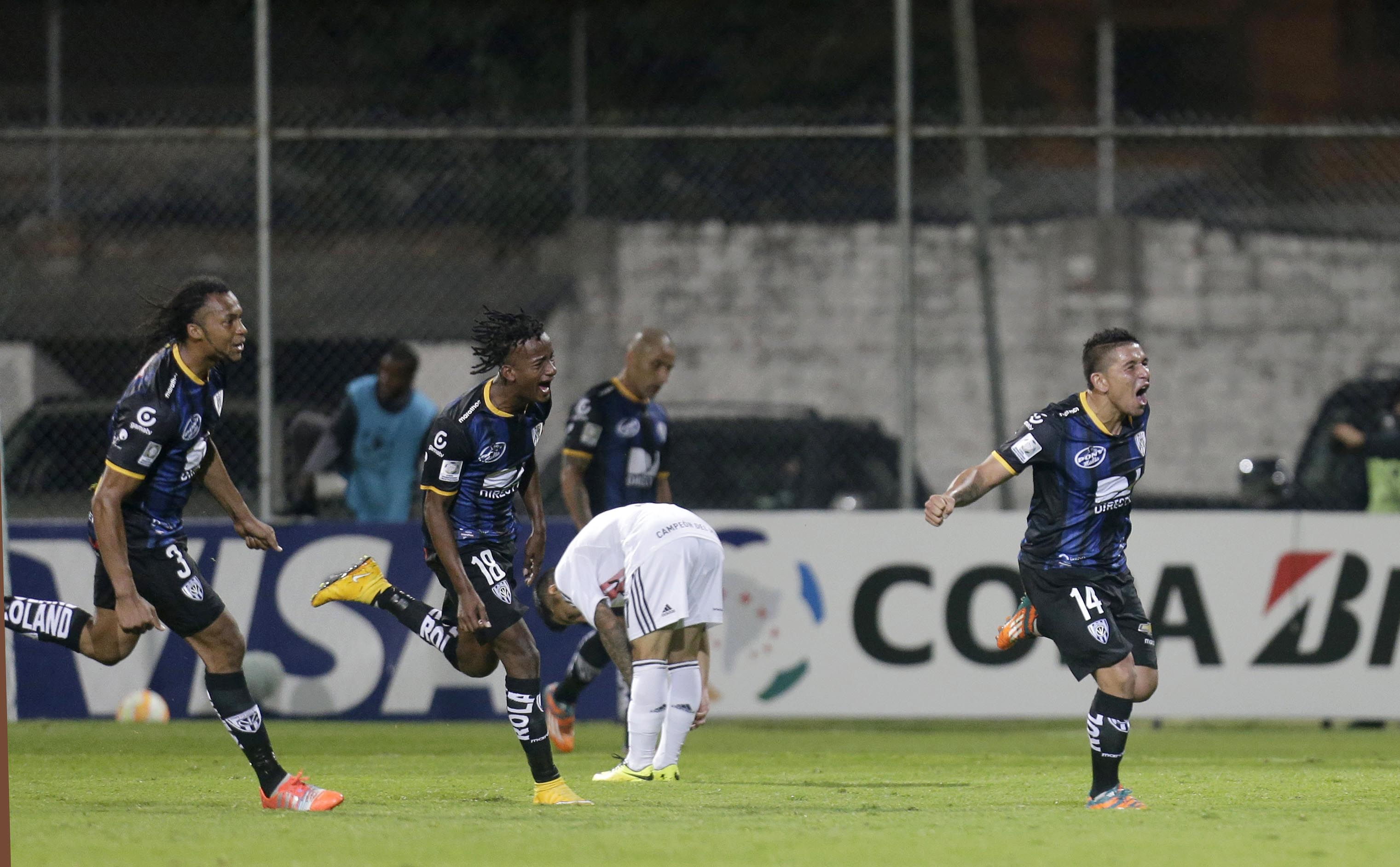 Buscar&aacute;n Zorros el nervio brasile&ntilde;o