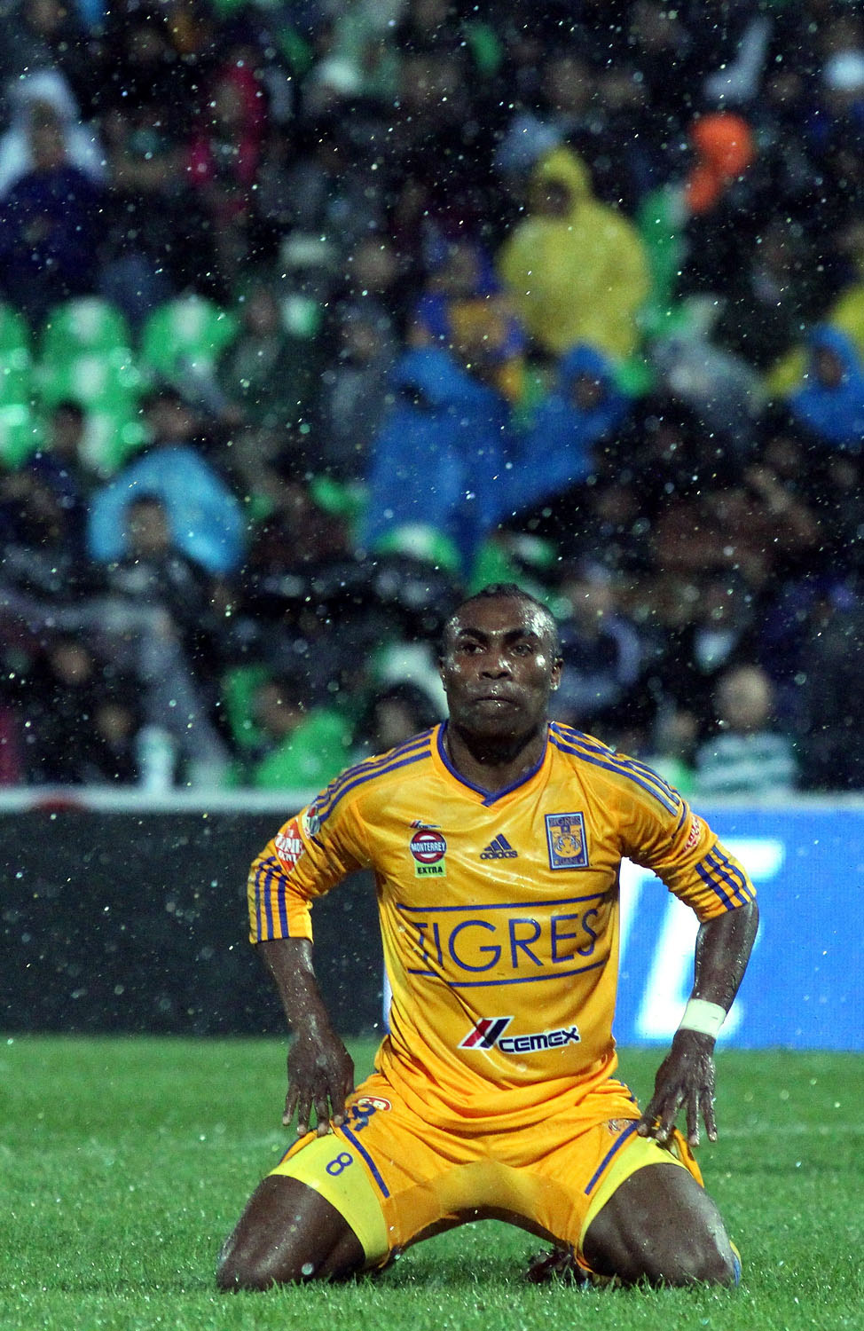 Recupera Tigres a Guerr&oacute;n