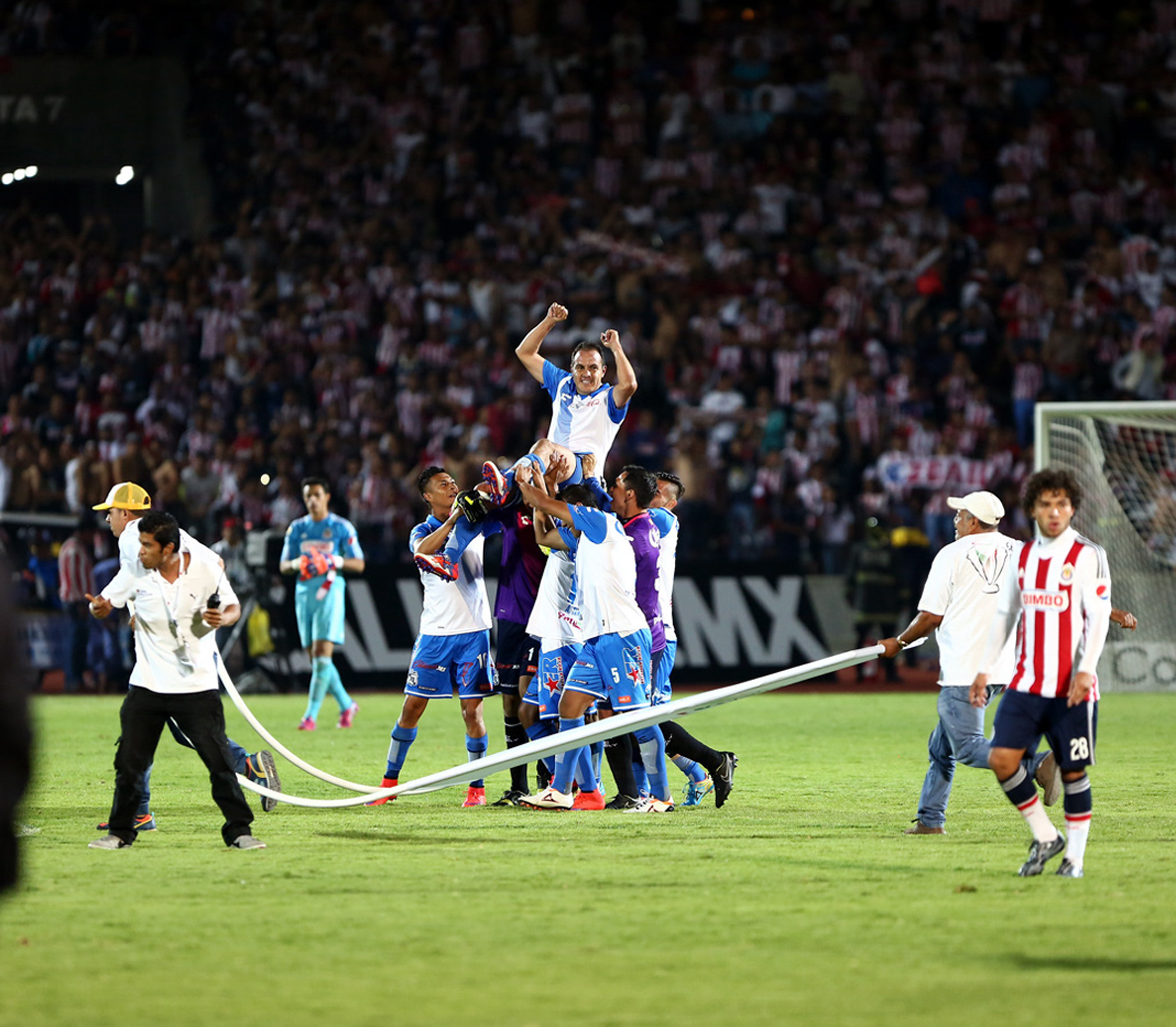 Acusa 'Temo' al due&ntilde;o