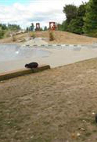 Un llamado a los artistas