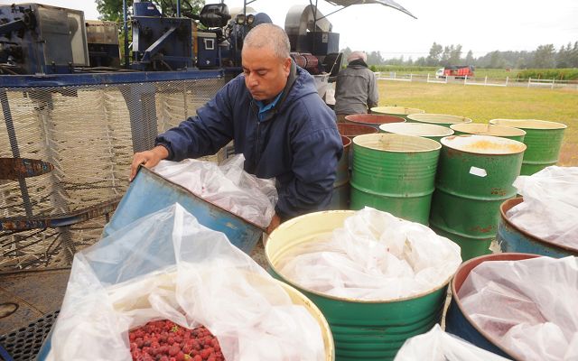 Se hacen esfuerzos para salvar tierras