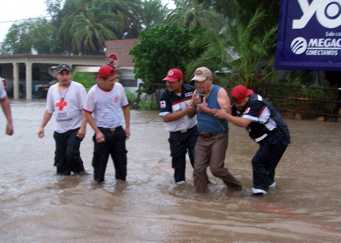 Jimena daminific&oacute; a miles