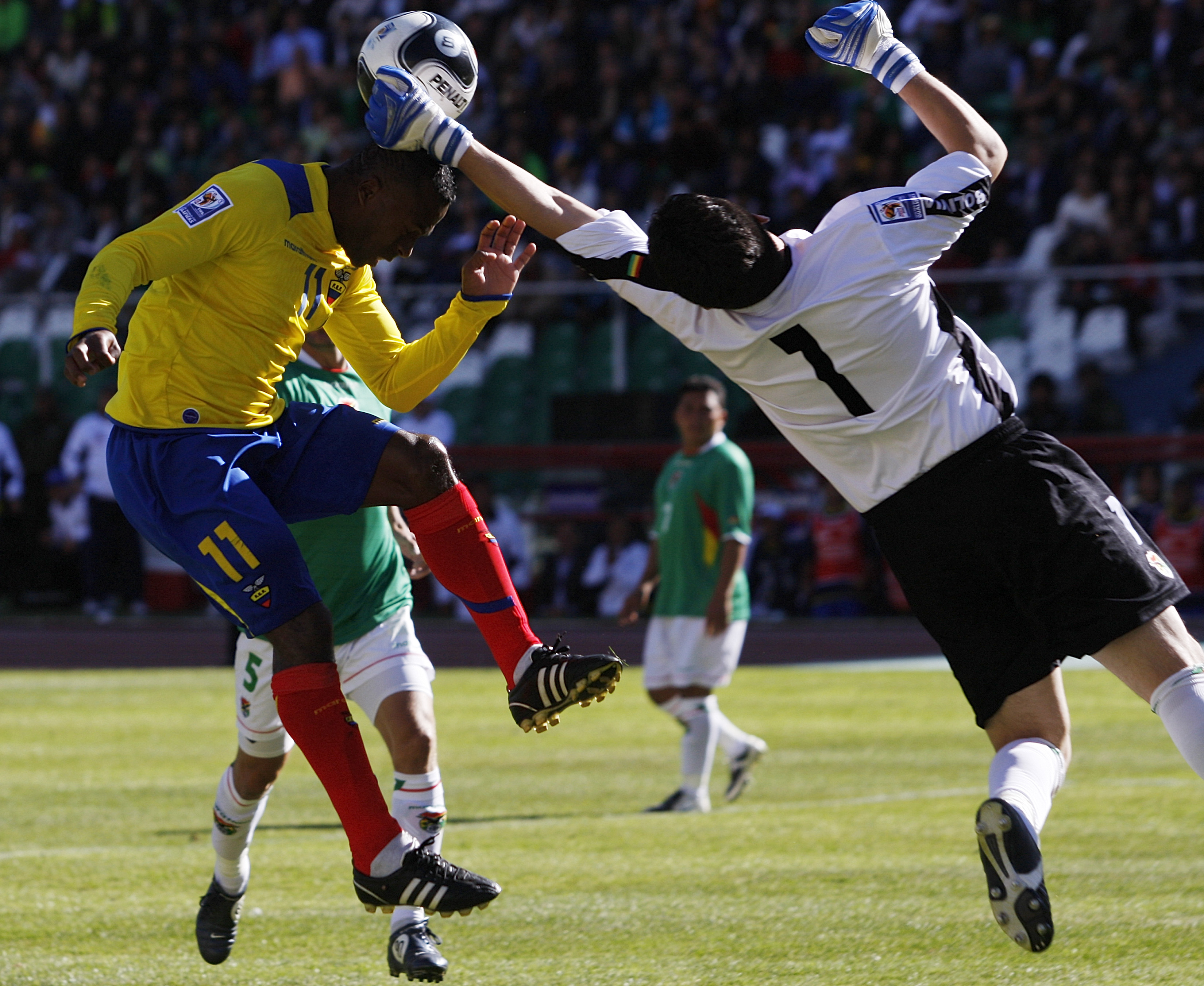 Renuncian Jugadores de Bolivia