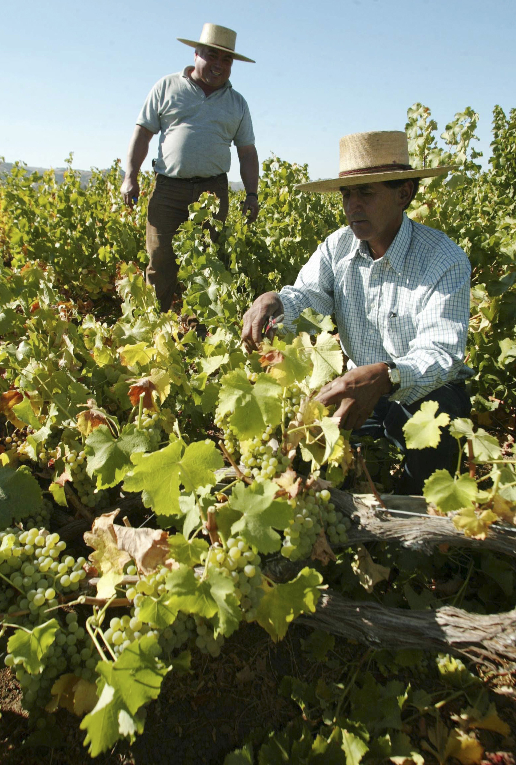 Hasta perdieron el vino