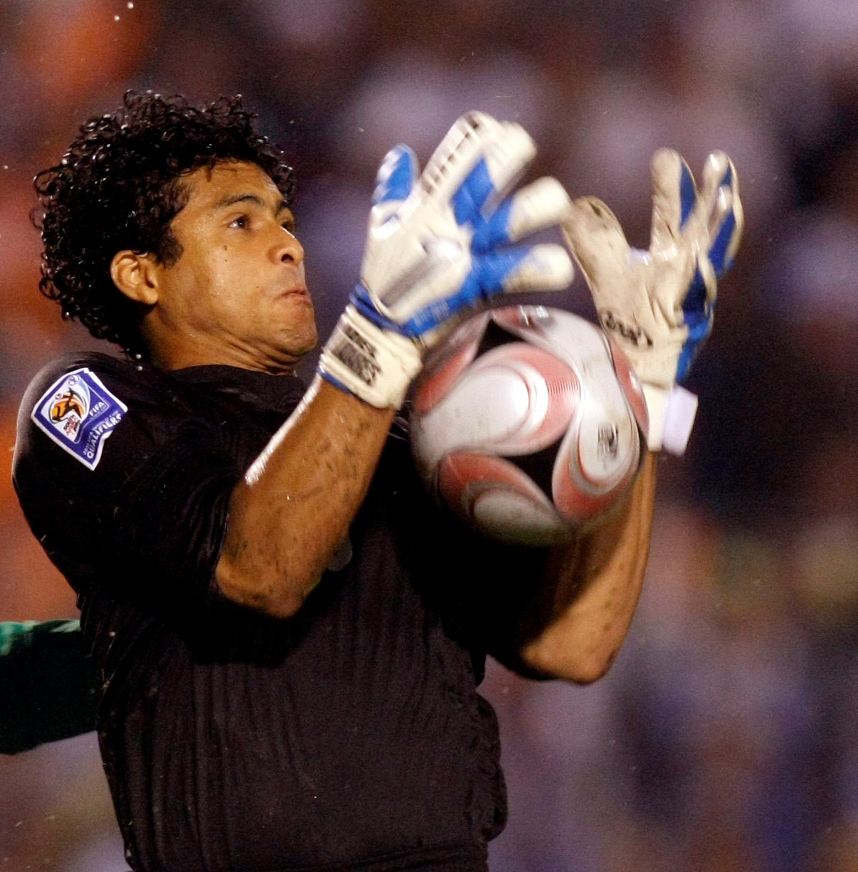 La “Bicolor” linea por linea