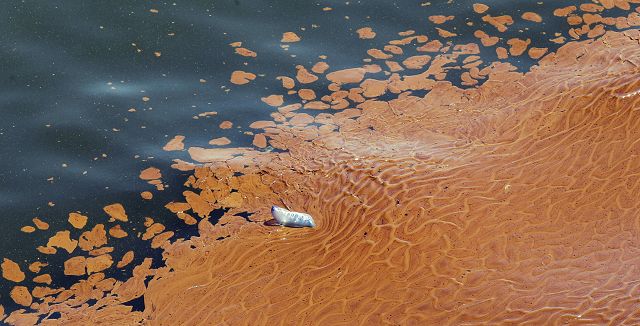 Sigue combate por derrame petrolero