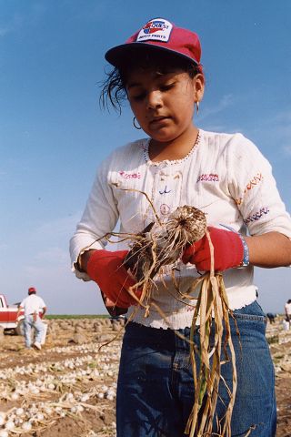 Quieren menos ni&ntilde;os en el campo