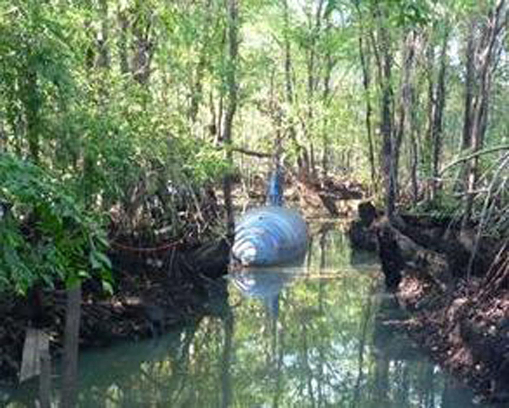 Encuentran narcosubmarino
