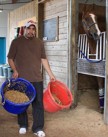 Trabajadores de Pura Sangre