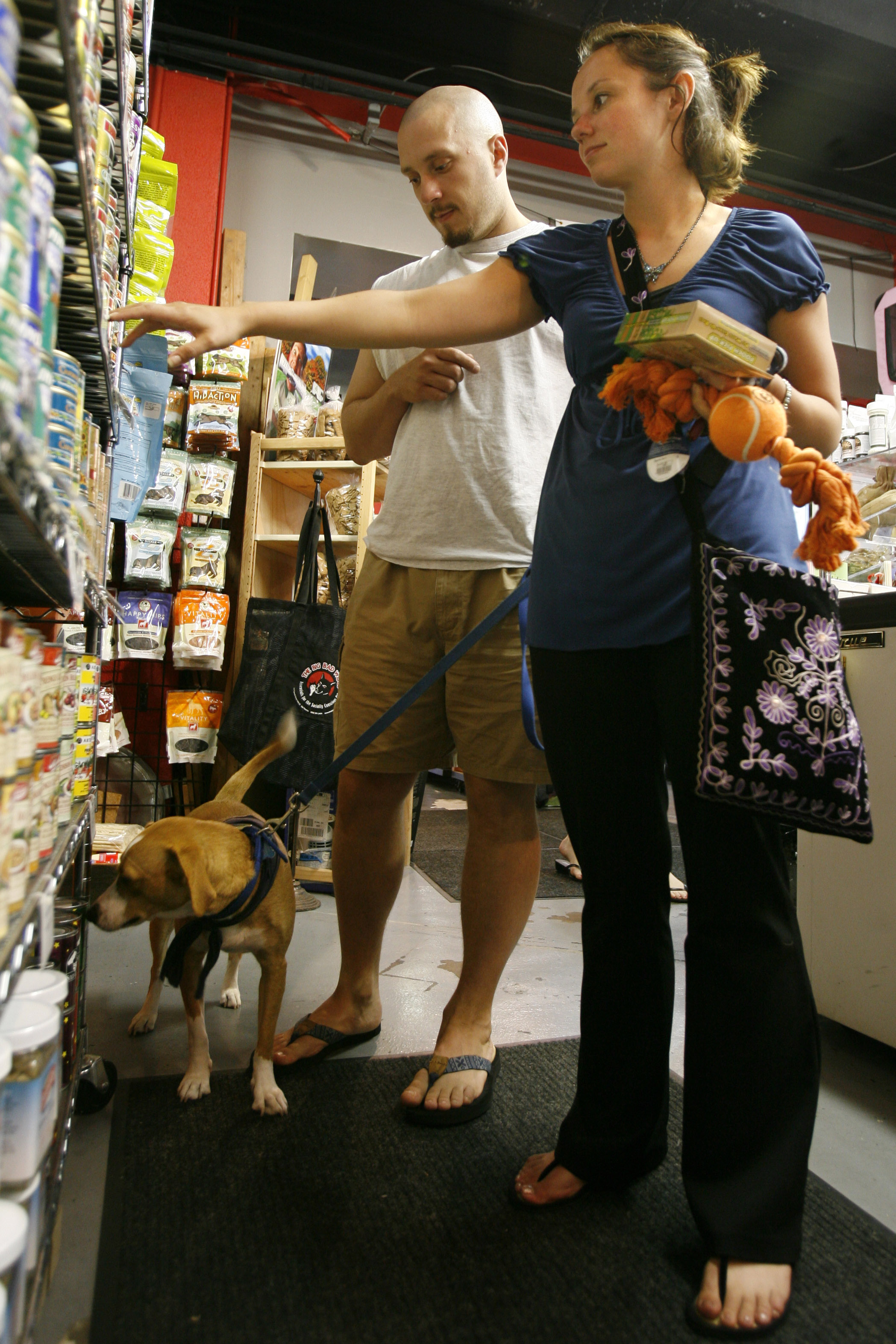 Alimento de mascotas en EEUU podr&iacute;a enfermar indirectamente a ni&ntilde;os.