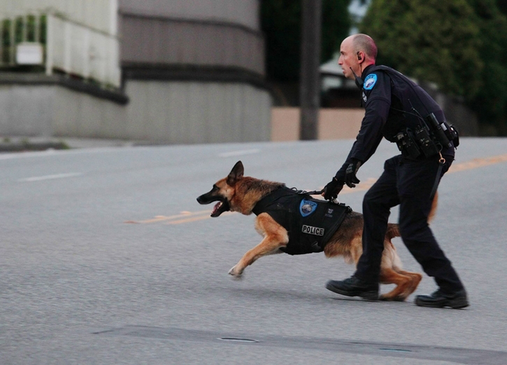 Persecuci&oacute;n en everett