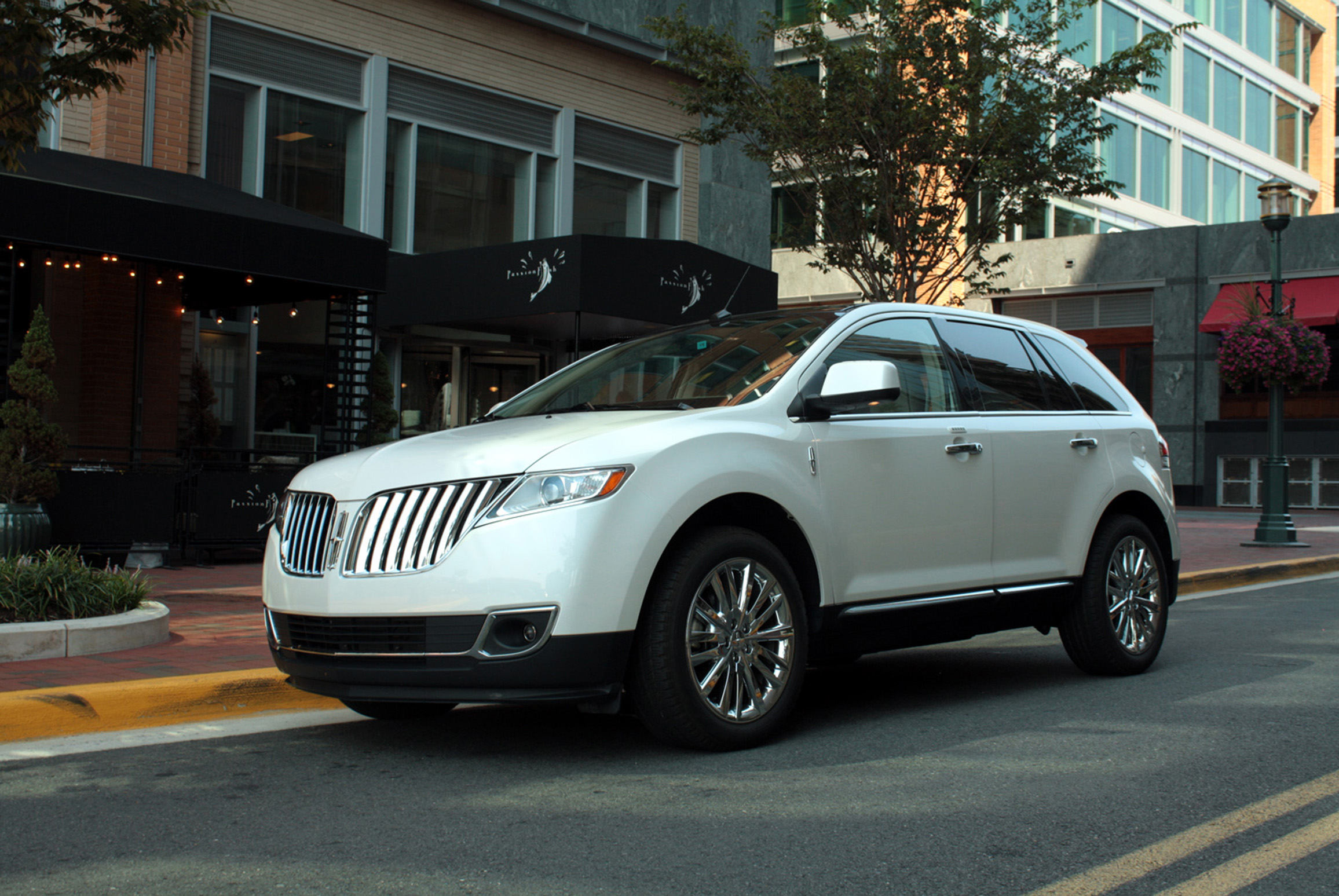 Renovaci&oacute;n profunda