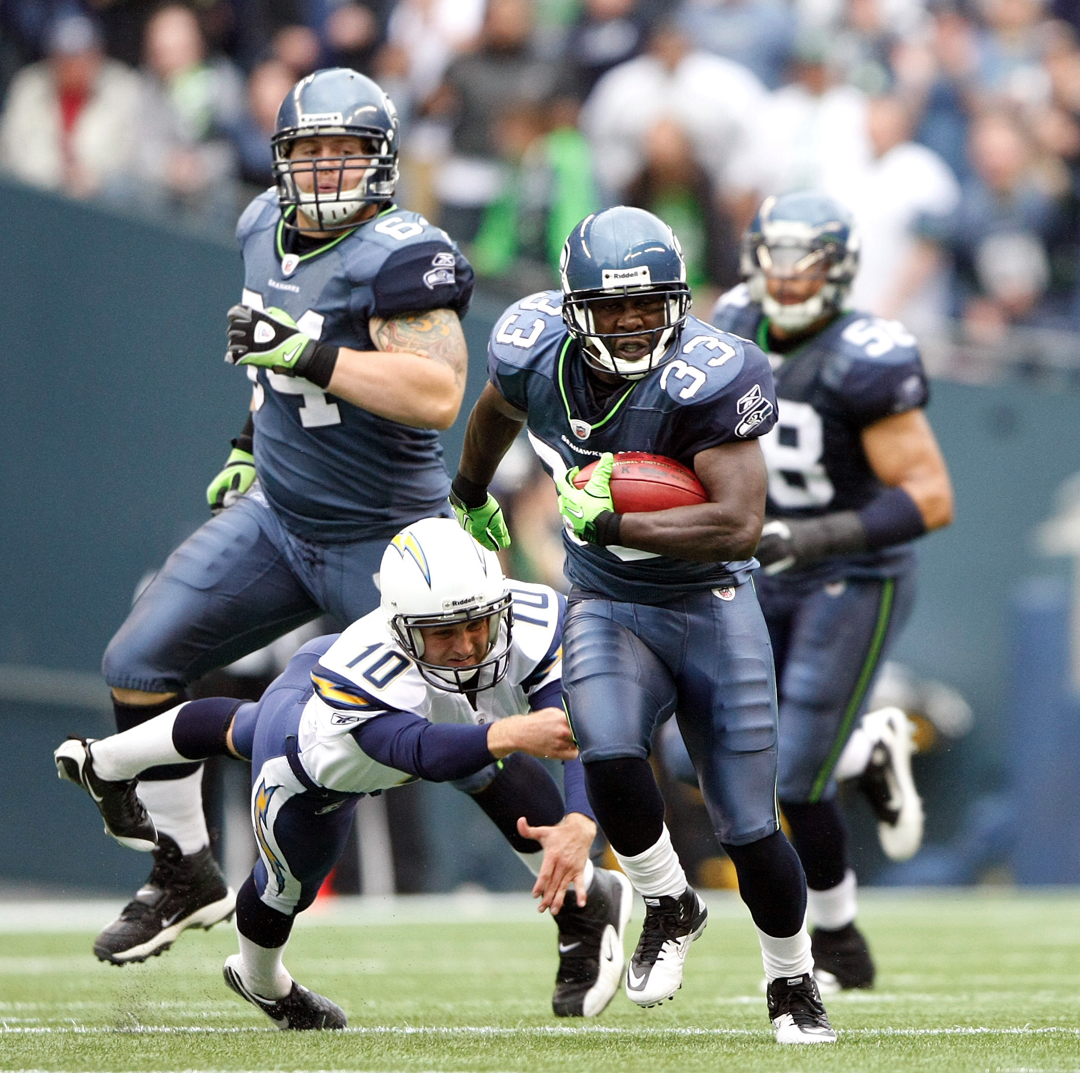 Un le&oacute;n salv&oacute; a seattle