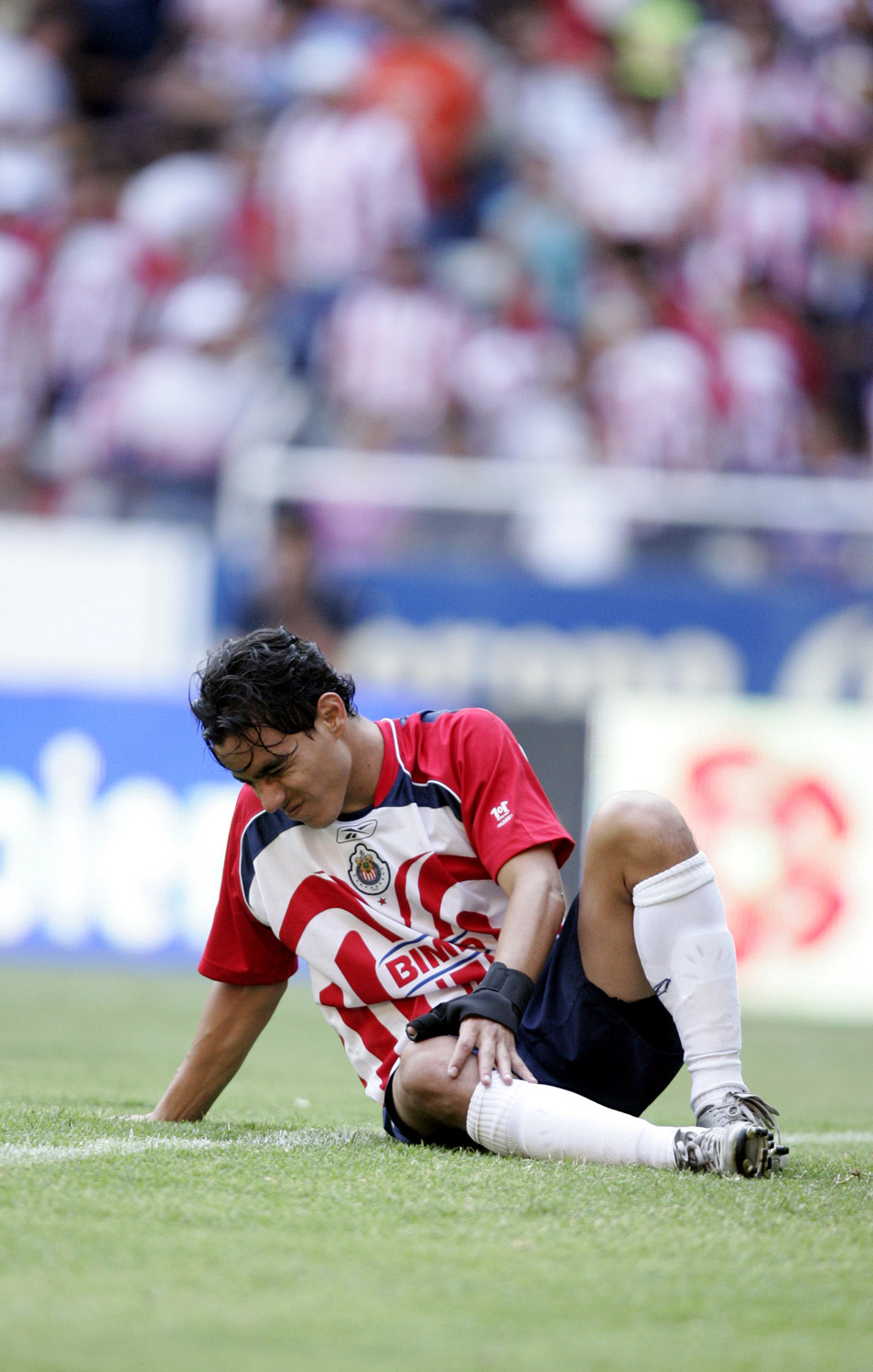 Est&aacute; Chivas en la sombra