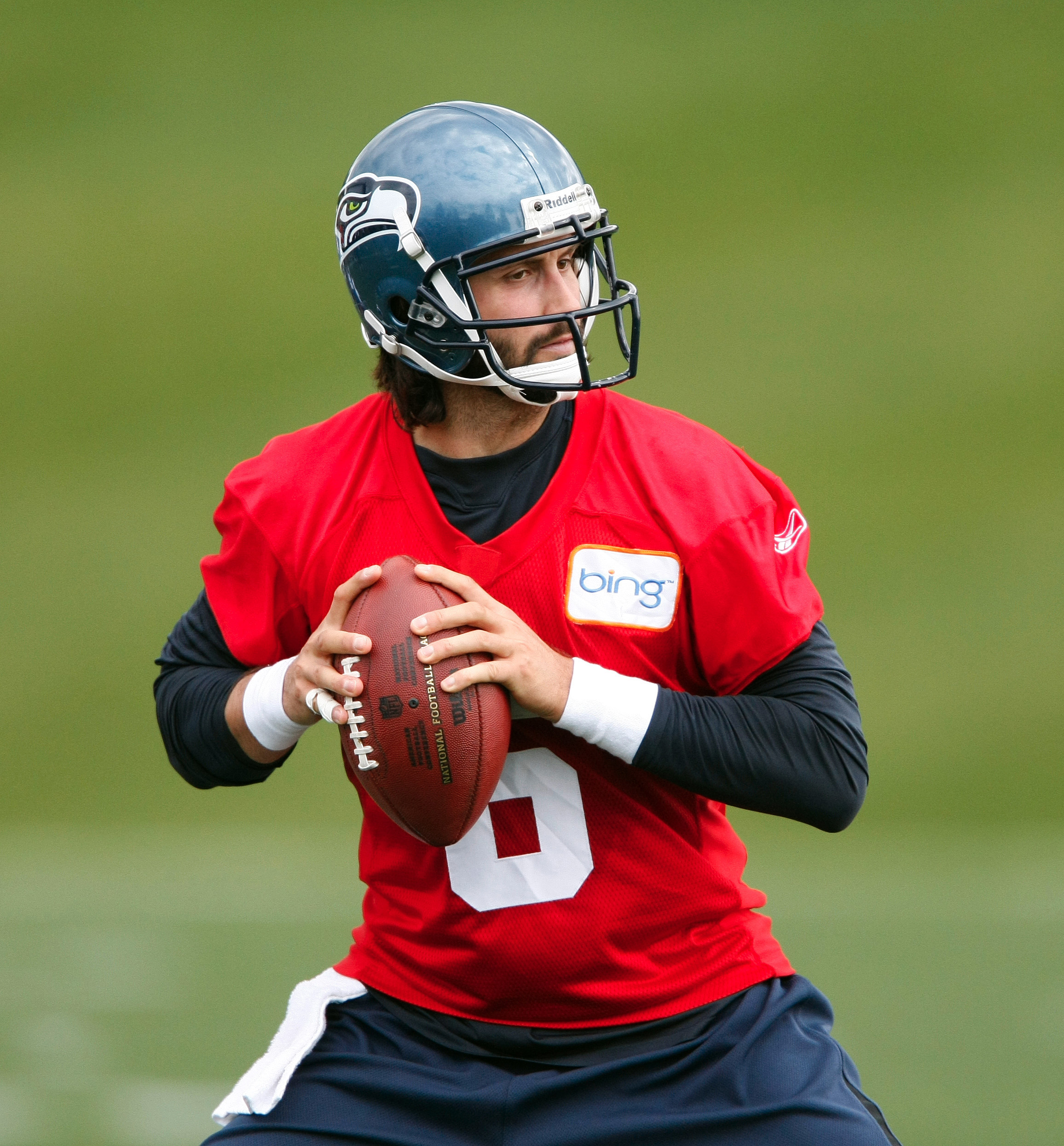 P&aacute;jaros heridos...