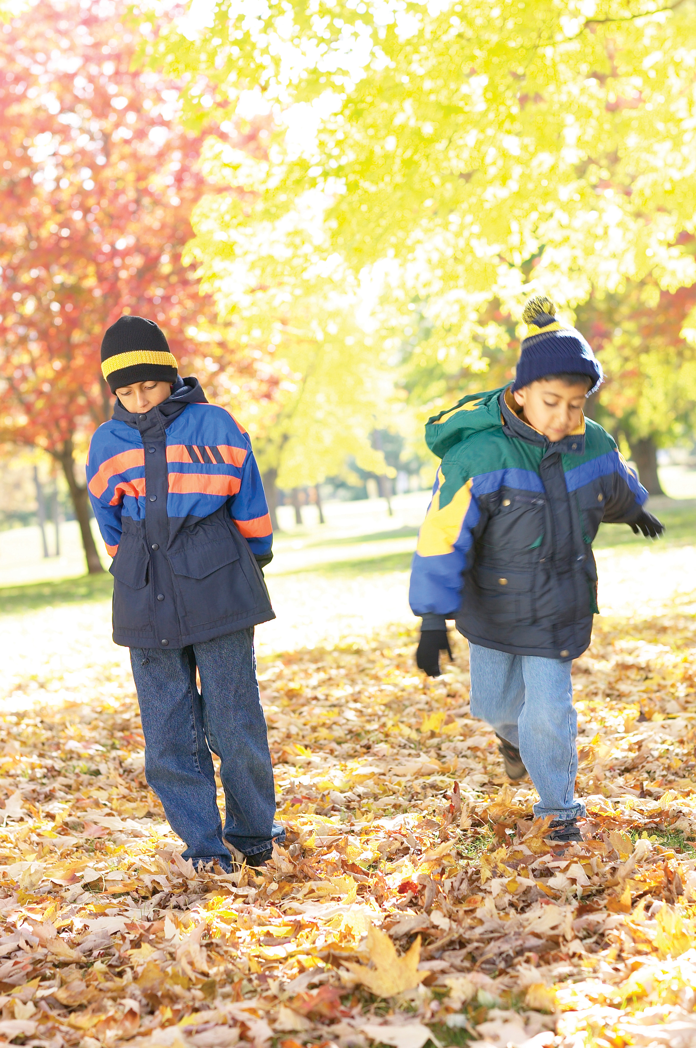 Entendiendo la Hipotermia