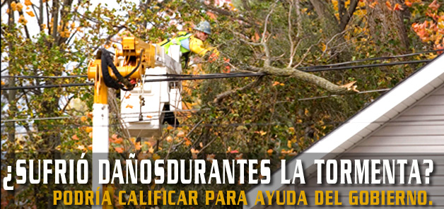 &iquest;Sufrio da&ntilde;os durante la tormenta?