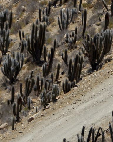 Sainz sigue como líder del Rally Dakar