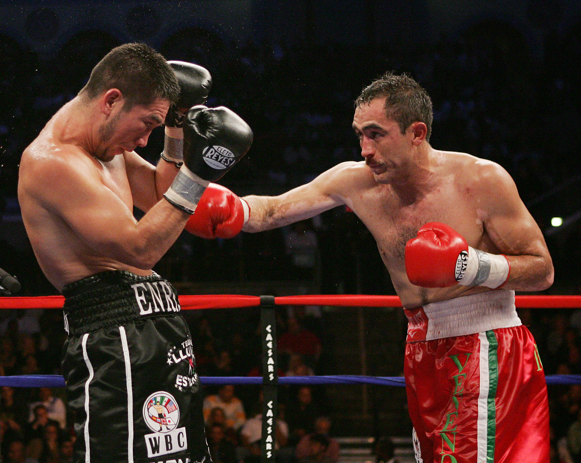 Cotto y Rubio buscan t&iacute;tulos