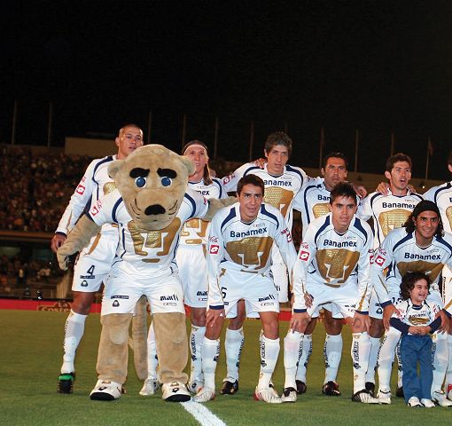 Pumas 15 juegos 1 punto